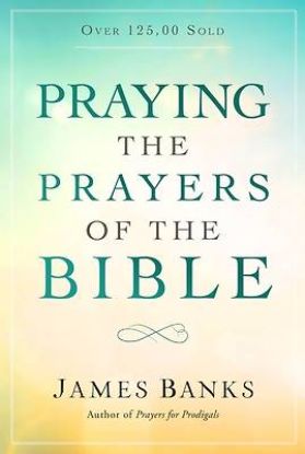 Picture of Praying the Prayers of the Bible