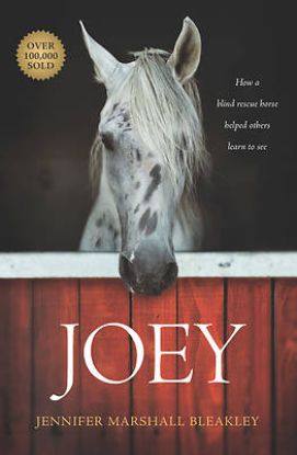 Picture of Joey
