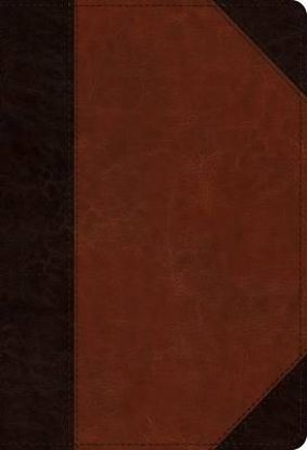 Picture of ESV Student Study Bible (Trutone, Brown/Cordovan, Portfolio Design)