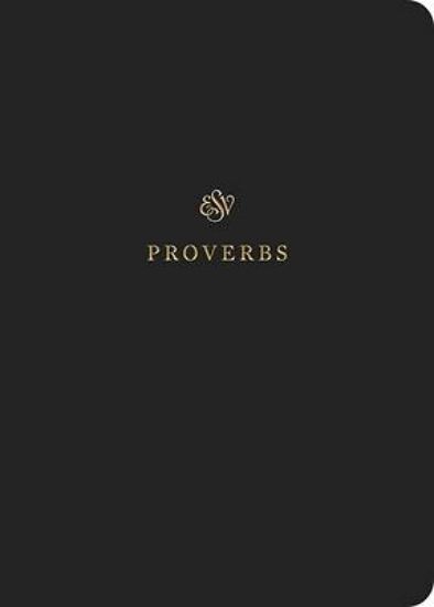 Picture of ESV Scripture Journal