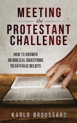 Picture of Meeting the Protestant Challenge