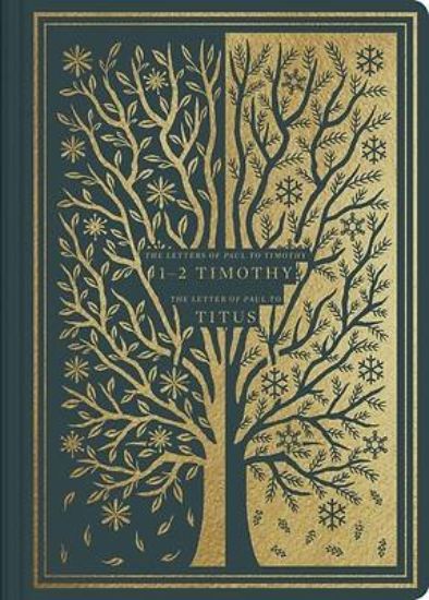 Picture of ESV Illuminated Scripture Journal