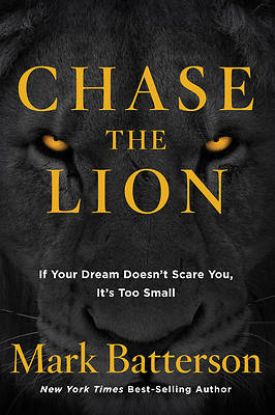 Picture of Chase the Lion