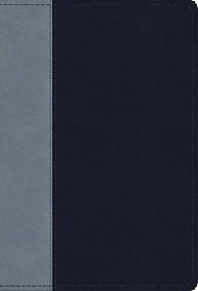 Picture of ESV Student Study Bible (Trutone, Navy/Slate, Timeless Design)