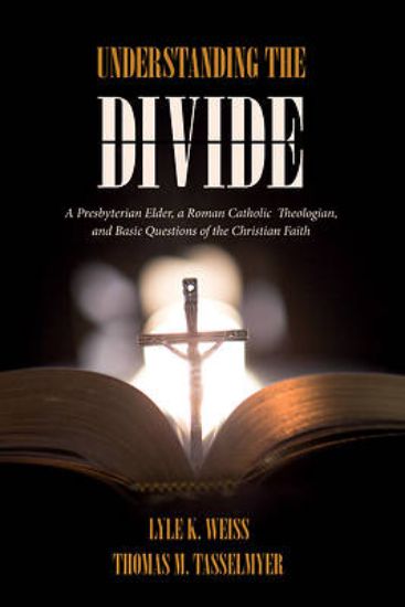 Picture of Understanding the Divide