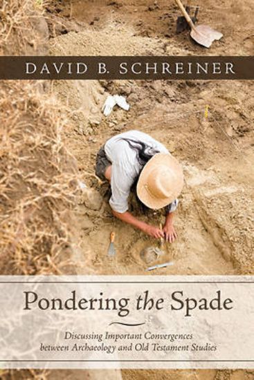 Picture of Pondering the Spade