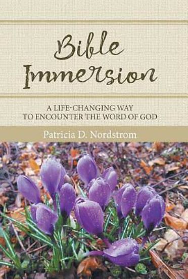 Picture of Bible Immersion
