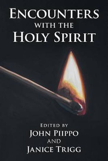 Picture of Encounters with the Holy Spirit