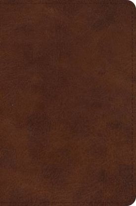 Picture of ESV Large Print Bible (Trutone, Deep Brown)