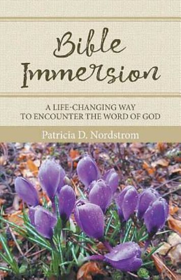 Picture of Bible Immersion