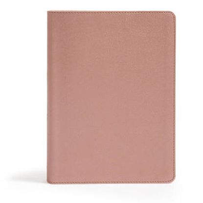 Picture of CSB She Reads Truth Bible, Rose Gold Leathertouch, Indexed