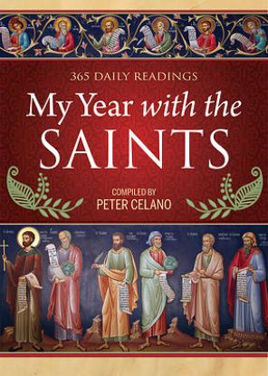 Picture of My Year with the Saints