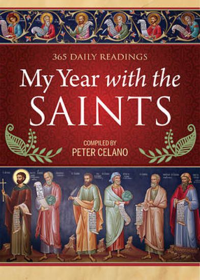 Picture of My Year with the Saints