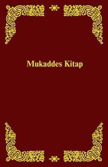 Picture of Turkmen New Testament