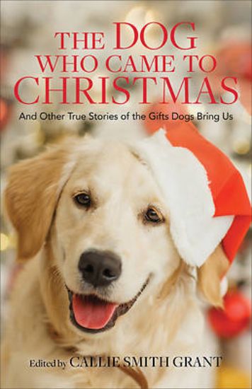 Picture of The Dog Who Came to Christmas