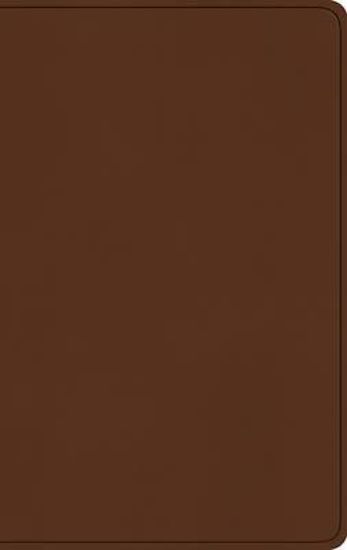 Picture of ESV Large Print Value Thinline Bible (Trutone, Camel)