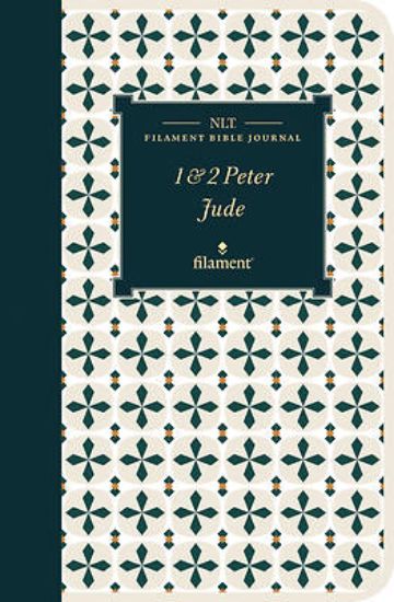 Picture of NLT Filament Bible Journal