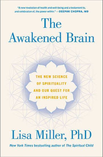 Picture of The Awakened Brain