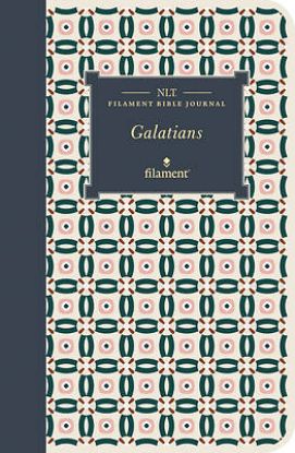 Picture of NLT Filament Bible Journal