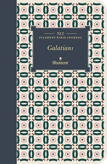 Picture of NLT Filament Bible Journal