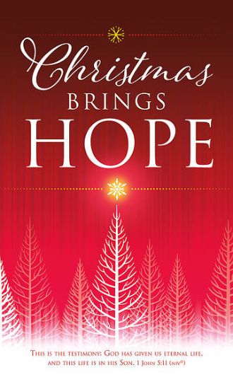 Picture of Christmas Brings Hope 3' x 5' Vinyl Banner 1 John 5:11 NIV