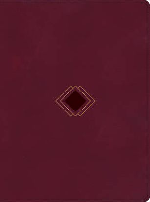 Picture of CSB Day-By-Day Chronological Bible, Burgundy Leathertouch