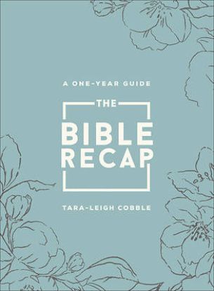 Picture of The Bible Recap