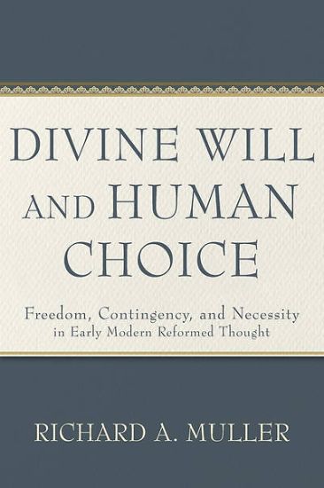 Picture of Divine Will and Human Choice