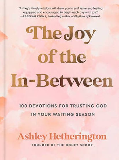 Picture of The Joy of the In-Between