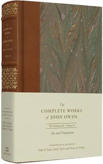 Picture of Sin and Temptation (Volume 15)