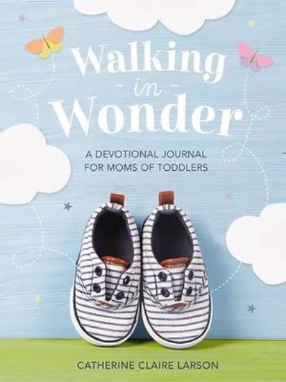 Picture of Walking in Wonder