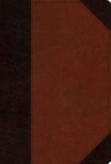 Picture of ESV Men's Study Bible (Trutone, Brown/Cordovan, Portfolio Design)