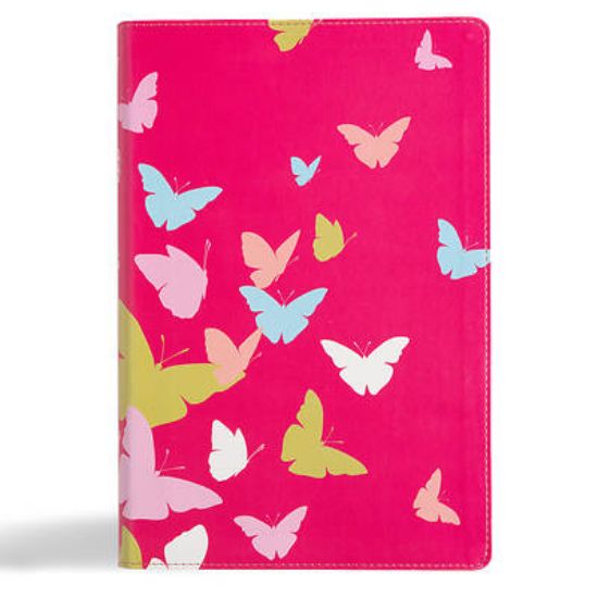 Picture of KJV One Big Story Bible, Pink Leathertouch