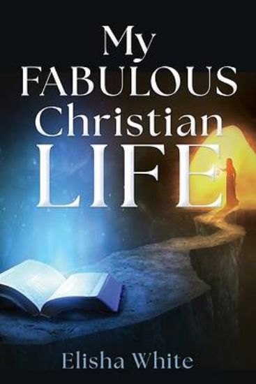 Picture of My fabulous Christian life