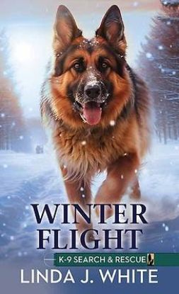 Picture of Winter Flight