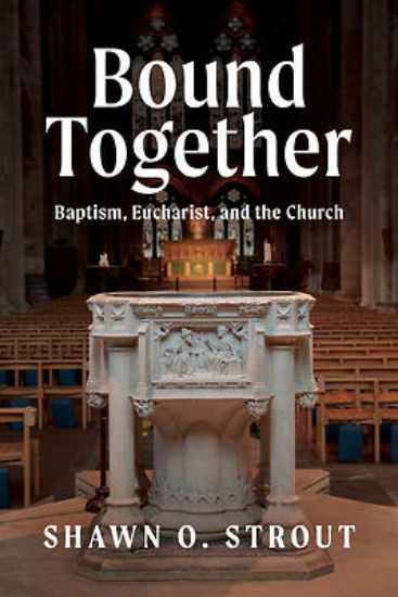 Picture of Bound Together