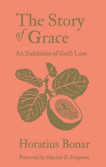 Picture of The Story of Grace