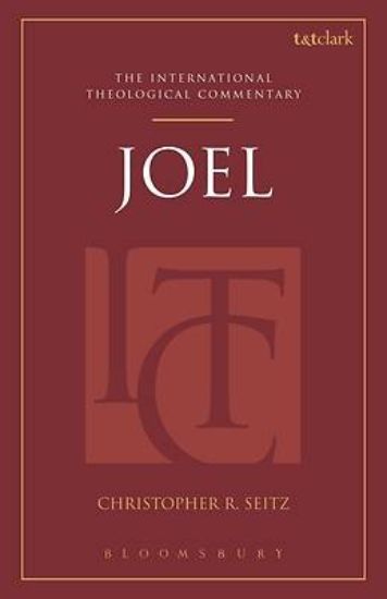 Picture of Joel (Itc)