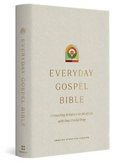 Picture of ESV Everyday Gospel Bible