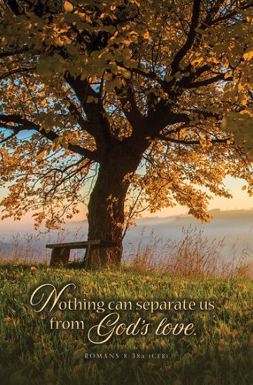 Picture of Nothing Can Separate Us Funeral Bulletin Regular