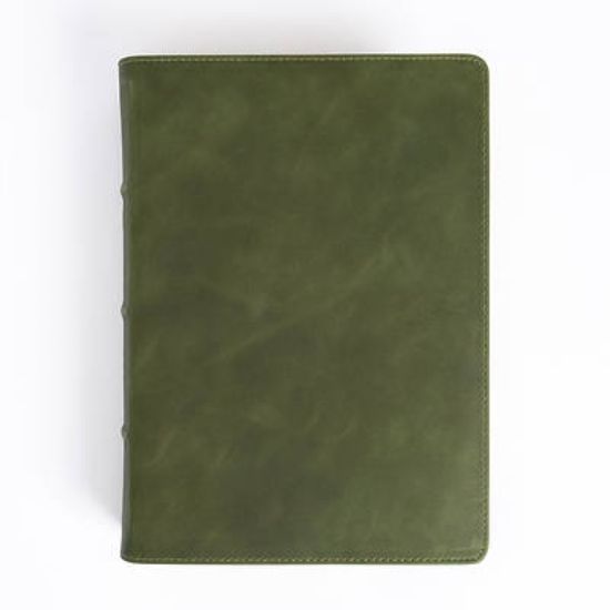 Picture of CSB She Reads Truth Bible, Holman Handcrafted Collection, Olive Premium Calfskin