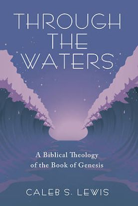 Picture of Through the Waters