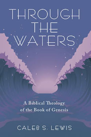 Picture of Through the Waters