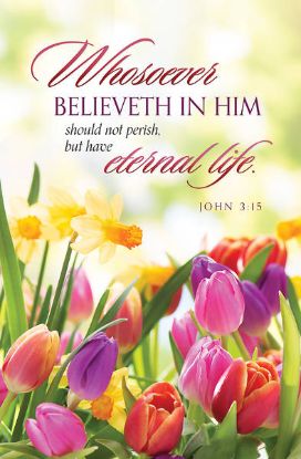 Picture of Whosoever Believeth in Him Regular Size Bulletin