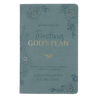 Picture of Devotional Trusting God's Plan Faux