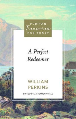 Picture of A Perfect Redeemer