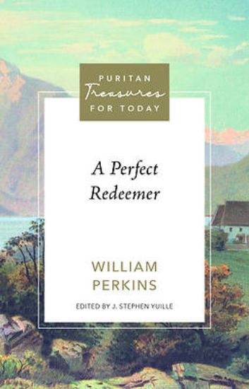 Picture of A Perfect Redeemer