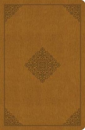 Picture of ESV Value Compact Bible (Trutone, Goldenrod, Ornament Design)