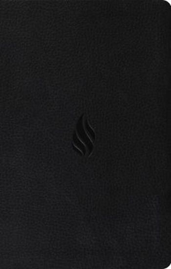 Picture of ESV Premium Gift Bible (Trutone, Midnight, Flame Design)