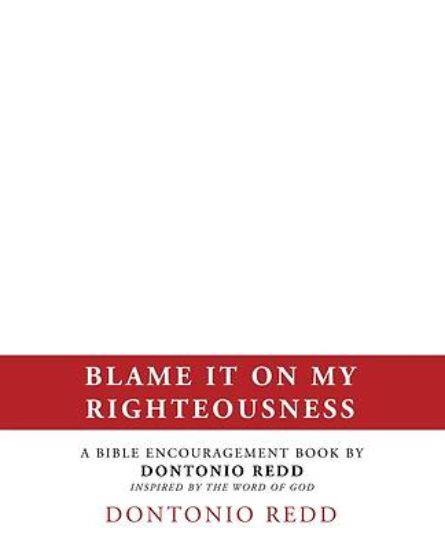 Picture of Blame It on My Righteousness
